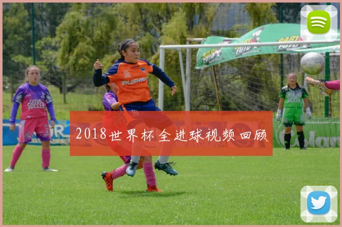 2018世界杯全进球视频回顾