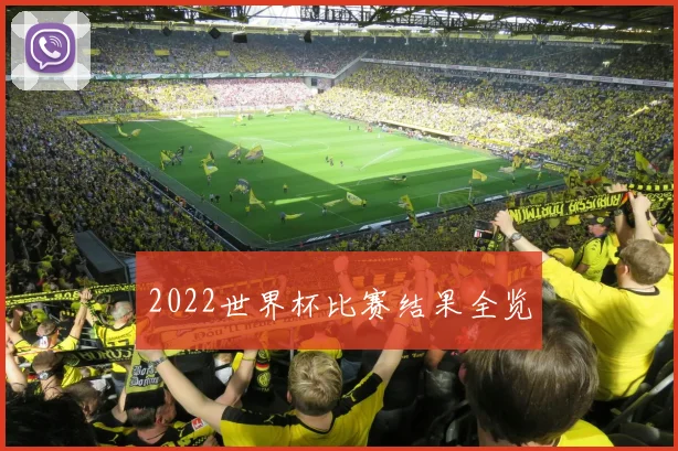 2022世界杯比赛结果全览