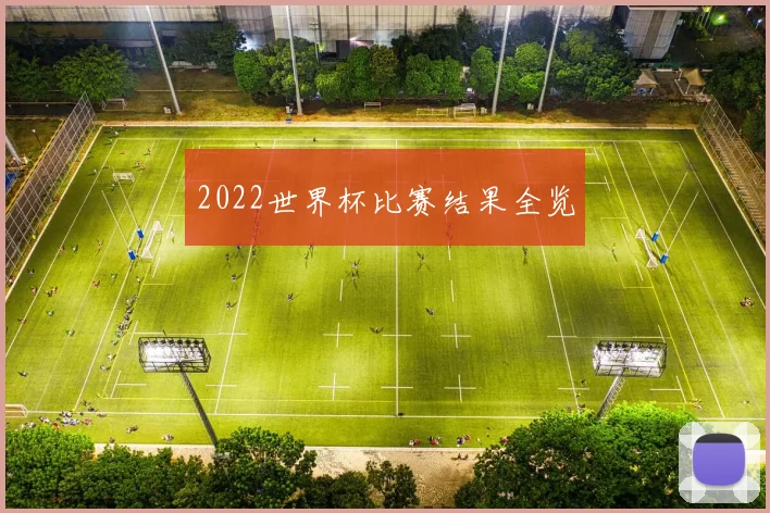 2022世界杯比赛结果全览