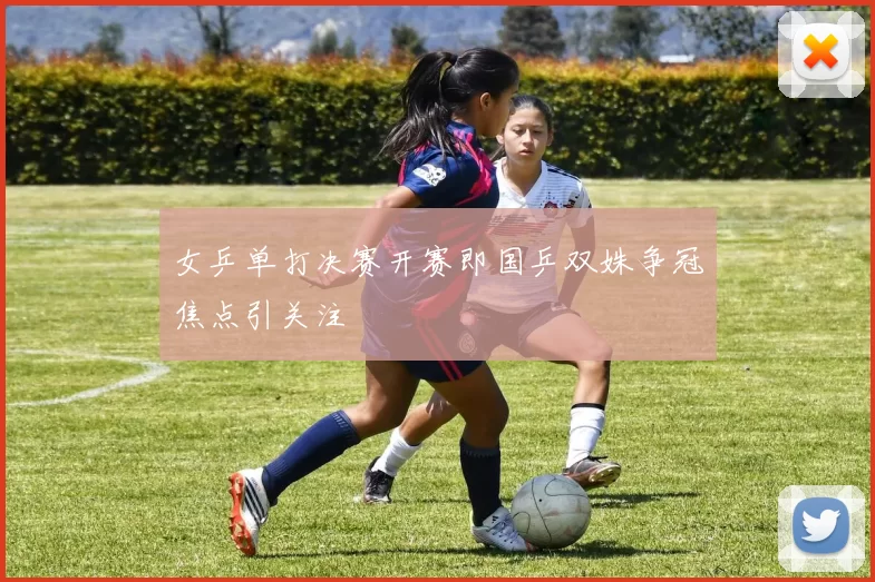 女乒单打决赛开赛即国乒双姝争冠焦点引关注